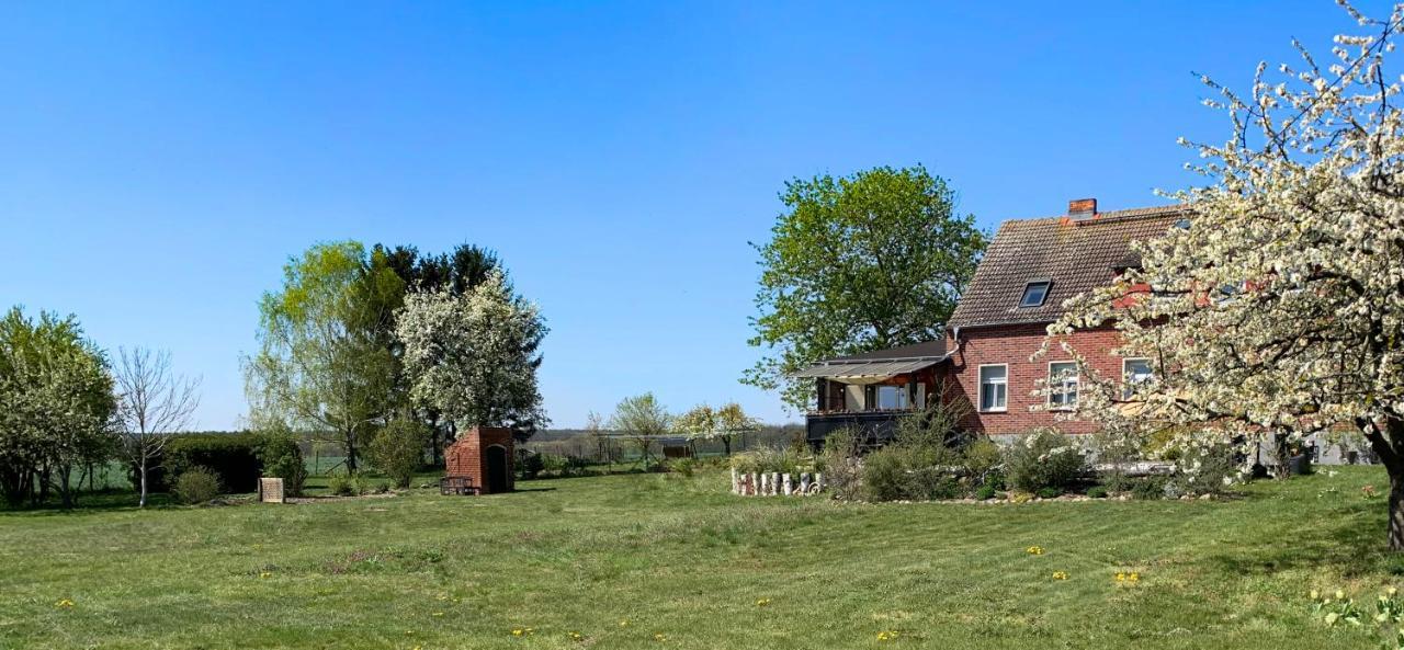 Vierseitenhof Hasenfelde - Ferienwohnung Feldblick Steinhofel Exterior foto