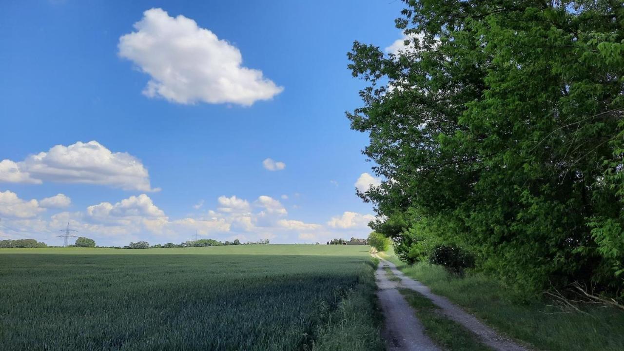 Vierseitenhof Hasenfelde - Ferienwohnung Feldblick Steinhofel Exterior foto